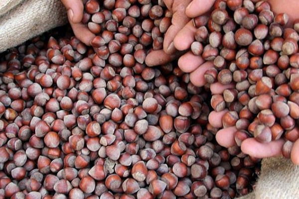 FİSKOBİRLİK'in ivmesi 2020'de daha da artacak