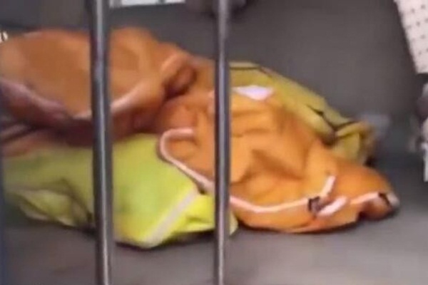 Çin'de ceset yığınlarınının görüntülerini paylaşan adam gözaltına alındı
