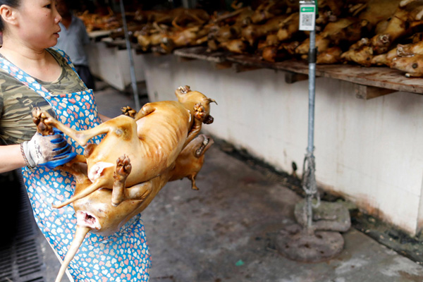 Çin'de hangi vahşi hayvanlar yeniyor?