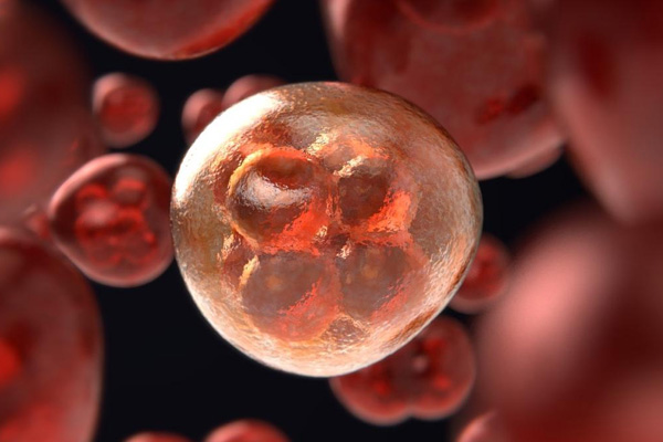 Dünya Sağlık Örgütü: Yoksul ülkelerde kanser artış gösterecek