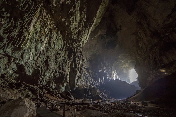 'Koronavirüsün kökenlerine ev sahipliği yapan bir mağara var'