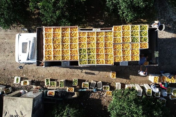 Rusya'nın Çin sınırını kapatması Türk ihracatına olumlu yansıdı