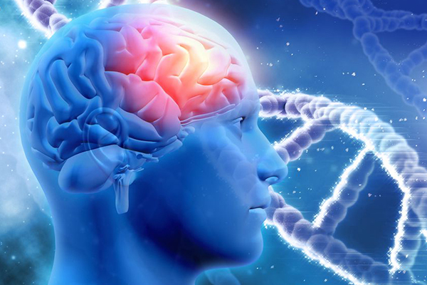 Beynin yaşlanmasını yavaşlatmanın yolu açıklandı