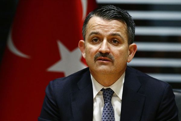 Bakan Pakdemirli: Orman köylüsüne 17 yılda 2,8 milyar liralık destek verildi