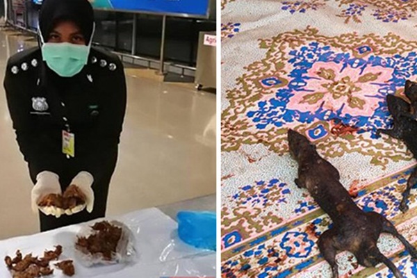 Havalimanında fare etleriyle yakalandı
