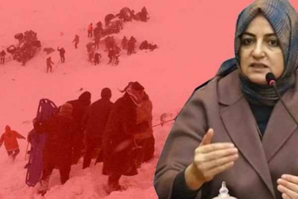 Cumhurbaşkanı Başdanışmanı Gülşen Orhan kimdir?