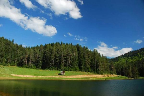 Yenice Ormanları, size bol oksijen sağlayacak güzide rotalardan biri.