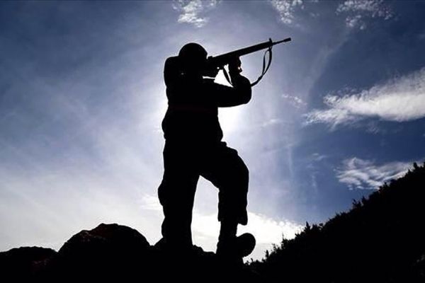 Milli Savunma Bakanlığı: PKK/YPG'li 2 terörist daha teslim oldu