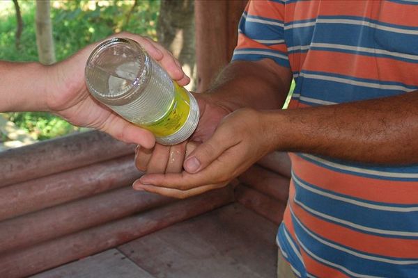 Kolonya koronavirüsü öldürür mü? Kolonya ile Koronavirüsten korunabilir miyiz?