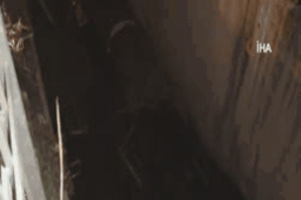 Dereye düşen otomobilden sağ kurtulup kaçtılar