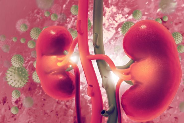 Böbrek hastalarına doğal afet uyarısı