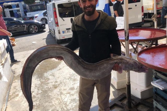 Antalya Körfezi'nden 3 metrelik yılan balığı çıktı