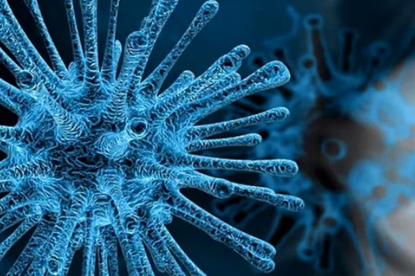 Prof. Dr. Osman Müftüoğlu’na göre, koronavirüste doğru bilinmen 10 yanlış!