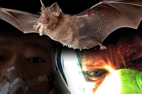 Uluslarası bilim ekibi açıkladı!  Koronavirüsünün oluşma nedeni...