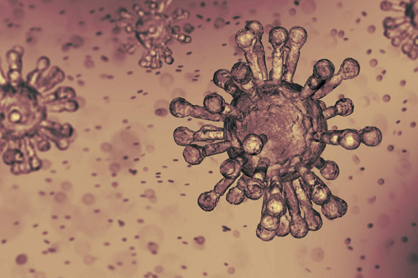 'Yüzde 70'ten fazla ülkenin Kovid-19 müdahale planı var'
