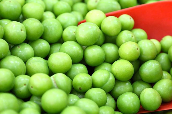 Eriğin kilosu 7 liraya indi