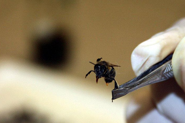 Kansere karşı yeni öneri
