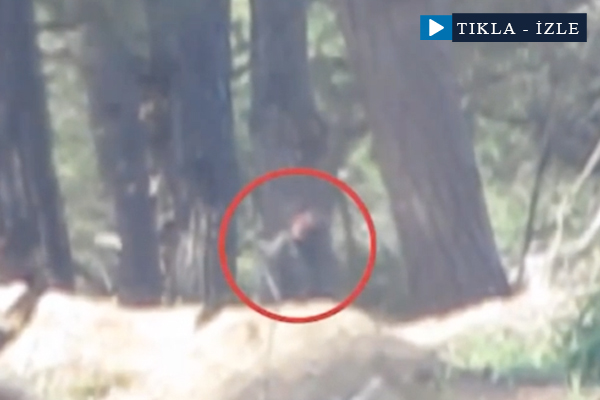 Türkmen Dağı'nda rejim askeri böyle vuruldu