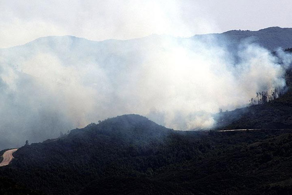 Türkiye - Suriye sınırındaki orman yangını sürüyor