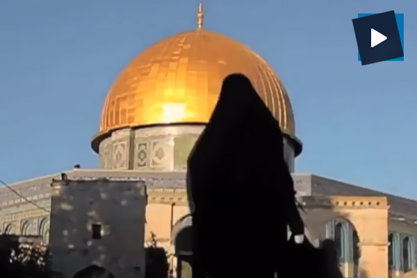 Bir Filistin belgeseli olan 'Biz burada kalacağız' gösterime giriyor