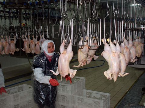 Mudurnu Piliç kapandı