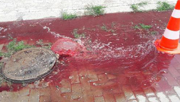 Rögardan kan fışkırdı