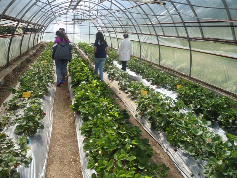 Ziraat Mühendislerine kötü haber