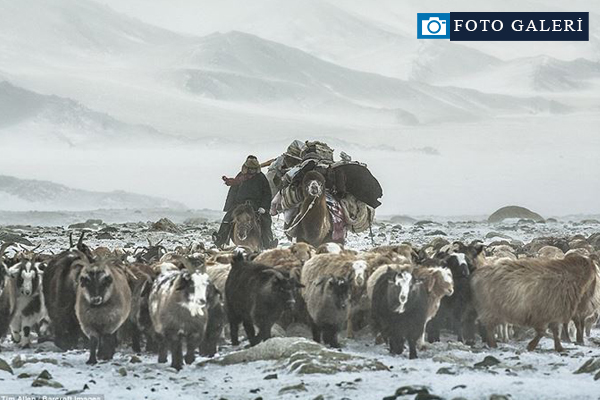 Eksi 40 derecede zorlu göç