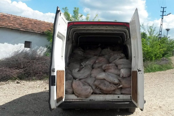 90 bin TL’lik kaçak et yakalandı