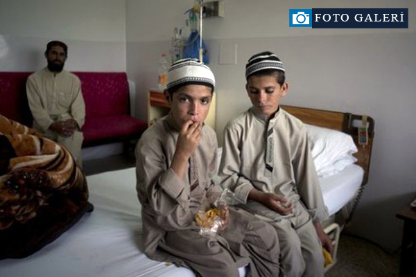 Güneş batınca bitkisel hayata giriyorlar