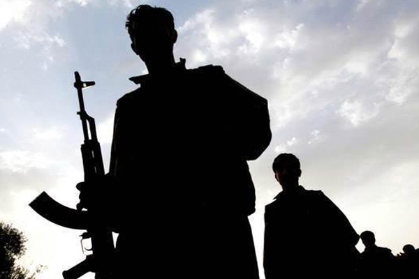 Bitlis'te 1 PKK'lı yakalandı