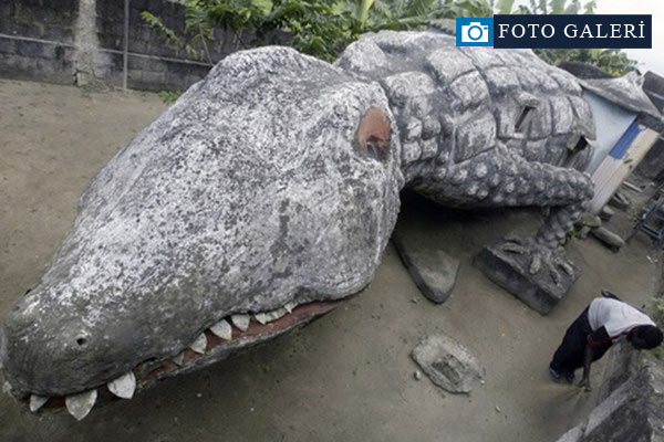 Bu evler görenleri şaşırtıyor