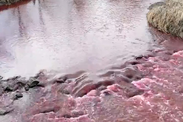 Kanada'da nehir kırmızı aktı