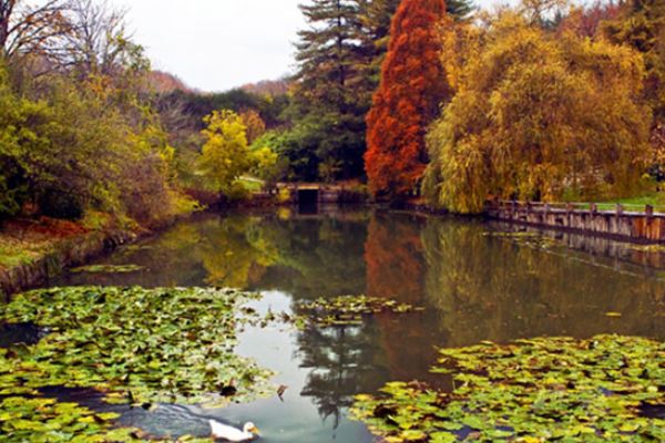 İstanbul'dan uzaklaşmadan yeşillik tercihi