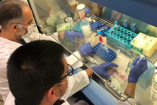 Türk bilim insanları, yerli korona ilacı için tarih verdi