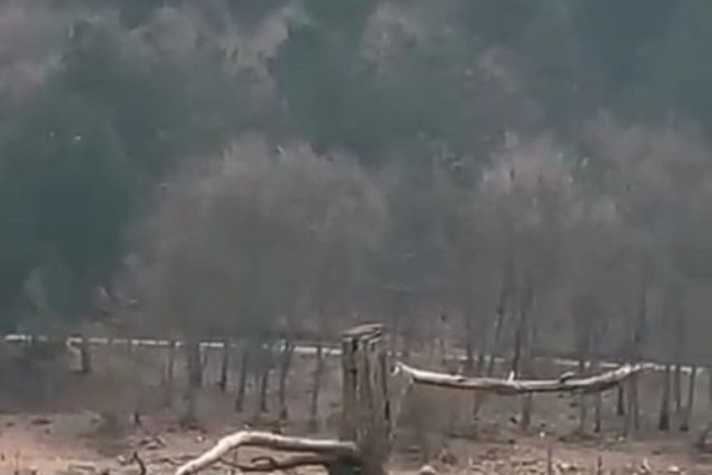 12 gün sonra evden çıktı, hayat kurtardı