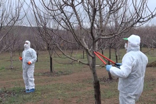 Elazığ'da yaşlıların 'bahçe ve arılarının' bakımı yapıldı