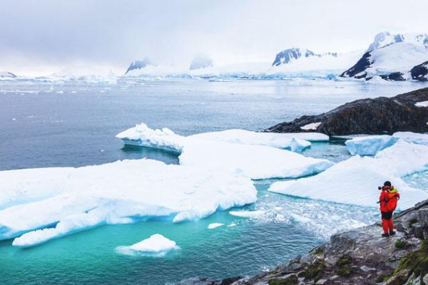 Antarktika'da 90 milyon yıl önce yağmur ormanı olduğuna dair kanıt bulundu