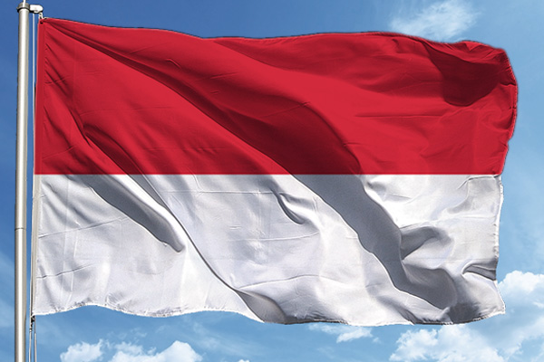 (Koronavirüs) Asya'dan Çin'den sonra en çok ölüm Endonezya'da