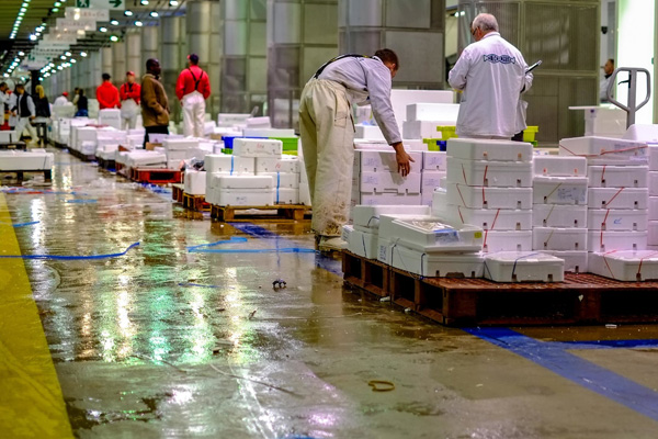 Fransa, dünyanın en büyük pazarının bir deposunu morga dönüştürülecek