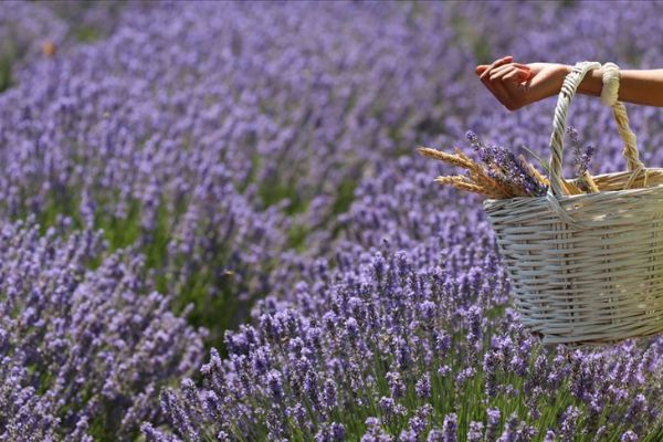 Turizm derneğinden 'evde kal' çağrısı