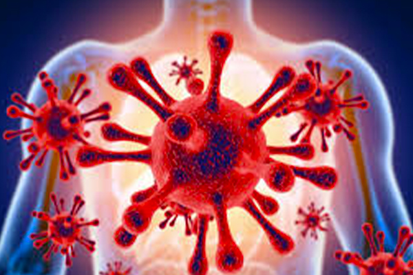 Korona, hücreye nasıl sirayet ediyor?