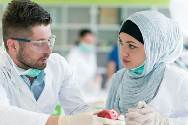 Almanya'da 'Müslüman Doktorlar ve Tıpçılar Ağı' kuruldu