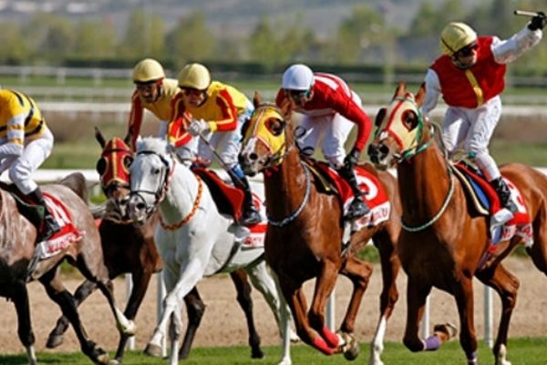 TJK'den  Milli Dayanışma Kampanyası'na katkı