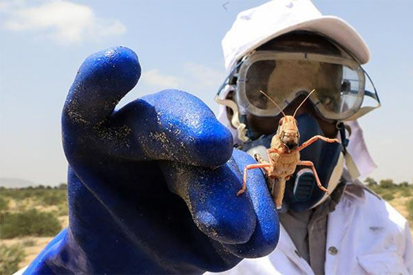 Şimdi de o bela baş gösterdi! 1 milyon kişi açlık tehlikesiyle karşı karşıya