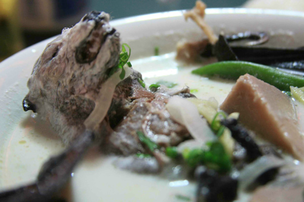 Bilim insanları yarasaları inceledi: 6 yeni virüs türü ortaya çıktı