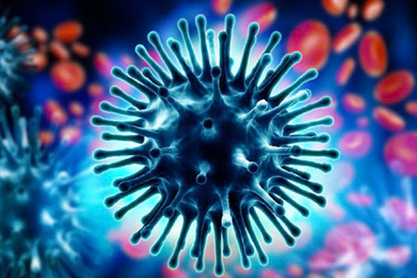 İngiliz üniversitesinden kafa karıştıran iddia!