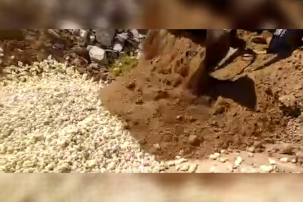 İran'da tepki çeken görüntüler: Binlerce civciv canlı canlı gömüldü