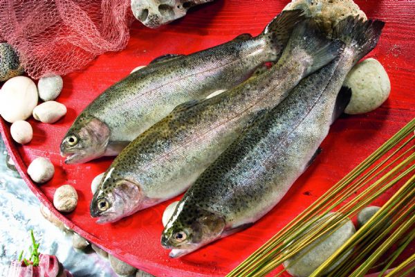 'Evde hayat sofrada balık' kampanyası