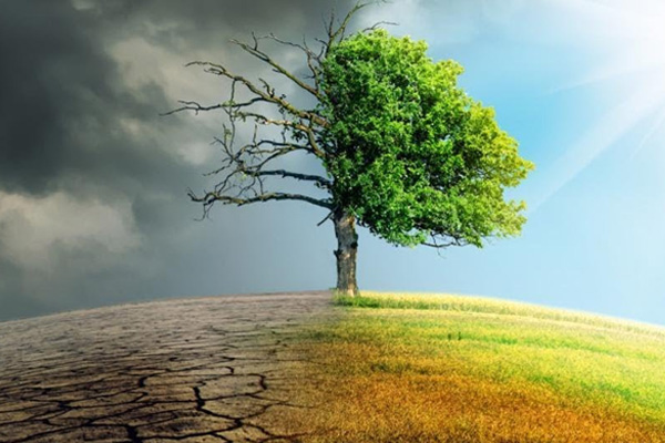 ''Koronavirüs iklim değişikliğini durduramaz''